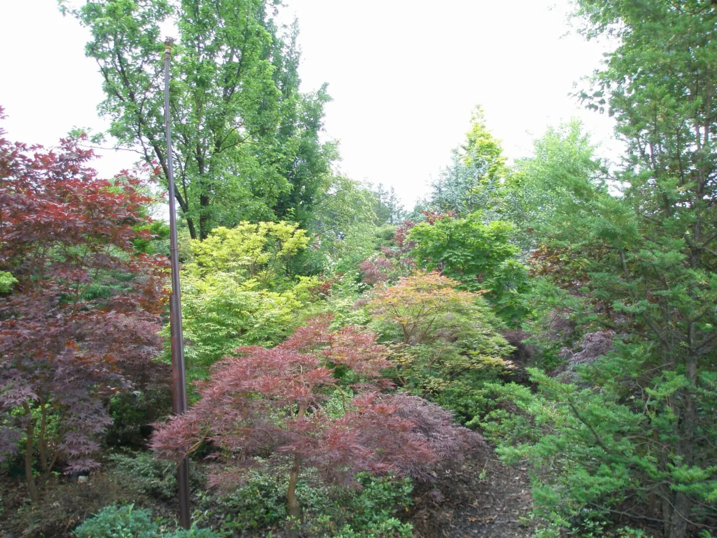 American Landscape at Sharon-View Nursery