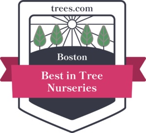 Trees.com award for best Tree Nursery in Boston, MA
